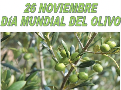 El De Noviembre Se Celebra El D A Mundial Del Olivo