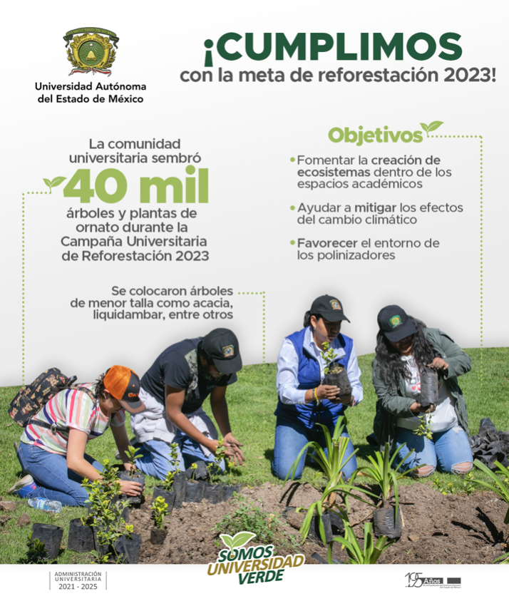 CumpleAEMtadforest2023