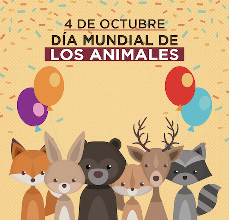 DMundialdelosAnimales