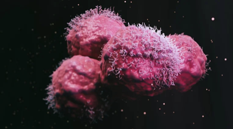 Descubren que las células cancerosas prosperan en los puntos del cuerpo con una rigidez intermedia