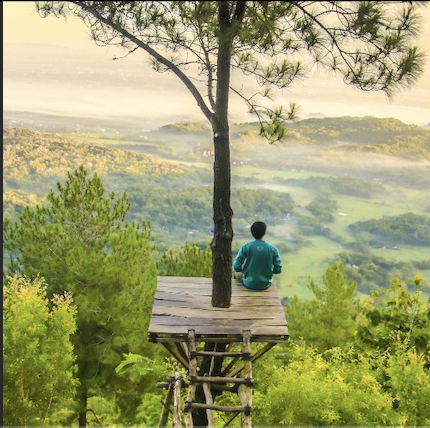 El 31 de julio se celebra el Día Mundial de los Guardas Forestales