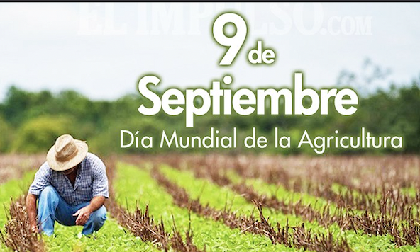 El 9 de septiembre se celebra el Día Mundial de la Agricultura