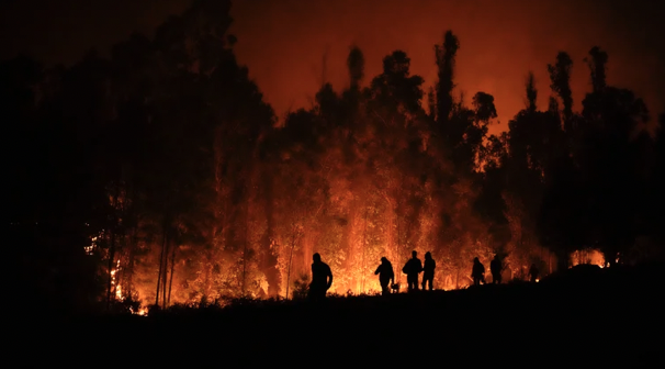 GobiernomexicanenviaayudaChileparacontrolarincendiosforestales