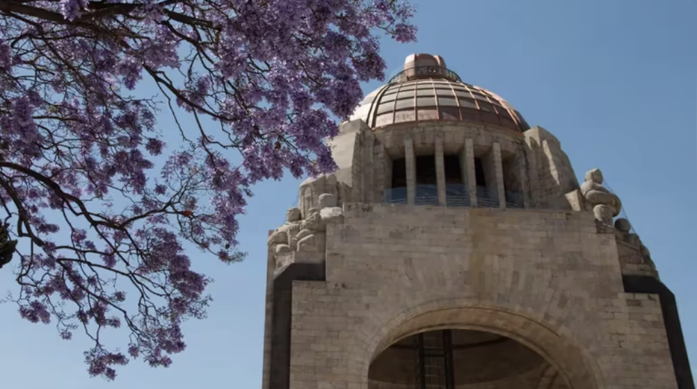 LajacarandasCDMXteciendoeropalertorcambicliico