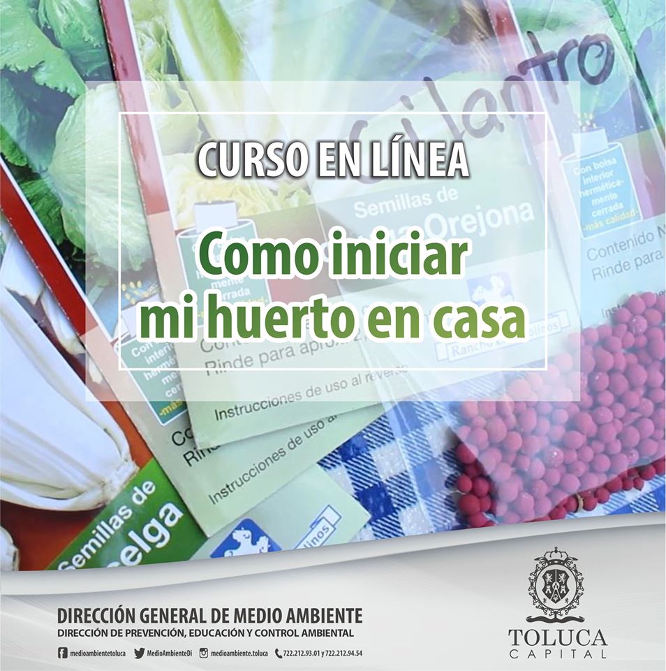 TALLER huerto