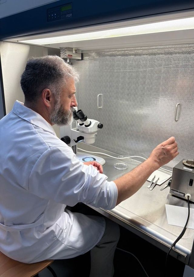 cientificocompostela